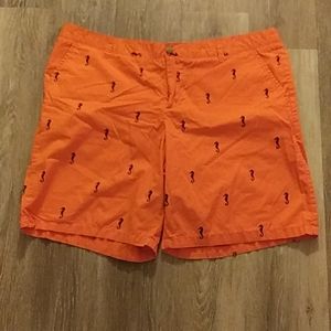 💫 Seahorse Shorts 💫